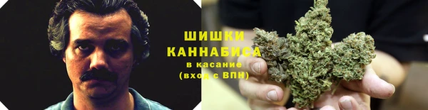 трава Армянск