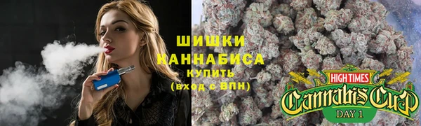 спиды Арсеньев