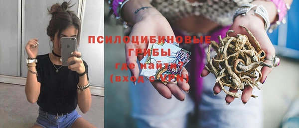 трава Армянск